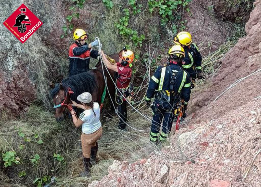 Una yegua voladora en Pinoso