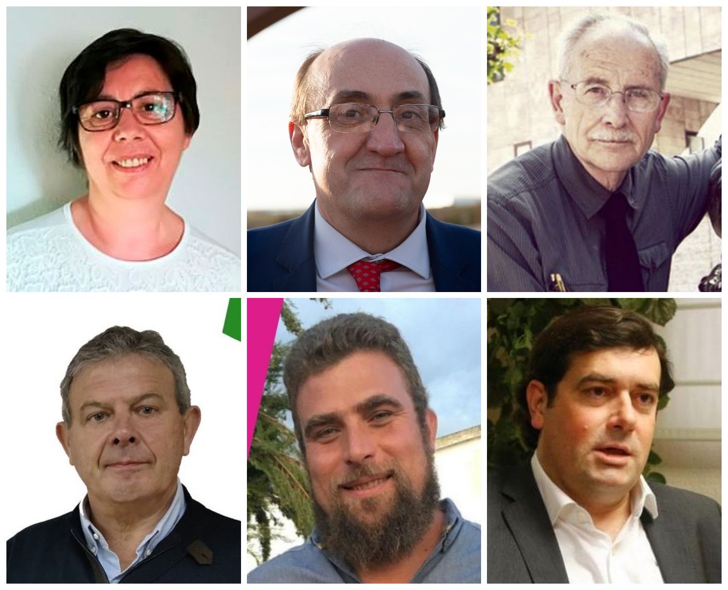 En la imagen, de izquierda a derecha (primera fila): Isabel Reguilón (Unidas Podemos), Alfonso Martín Carretero (Ciudadanos) e Iglesias Carreño (Prepal). Segunda fila: Manuel Fuentes (Ahora Decide), César Mayo (UPL) y Ángel Macías (Por Zamora).