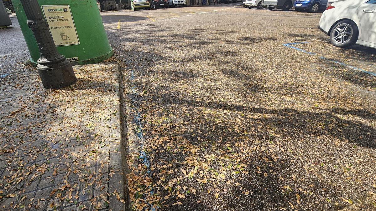 La alfombra de hojas y melaza ha durado todo el verano