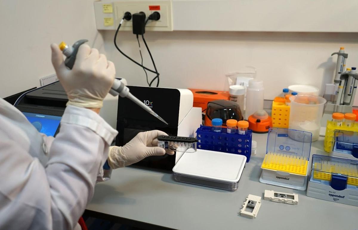 Un investigador utiliza tecnología para entender las metástasis y las recaídas.