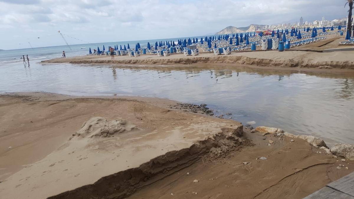 Así ha quedado el principio de la playa de Levante de Benidorm tras las lluvias torrenciales.