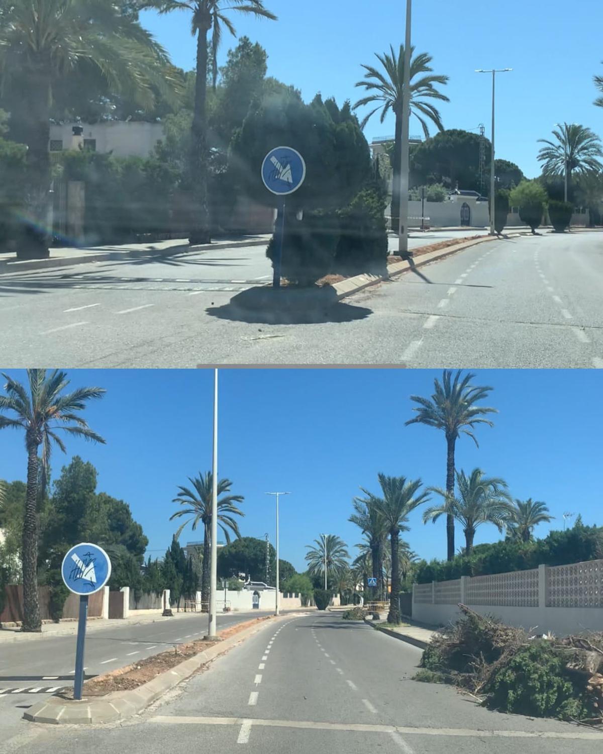 La tala que ha encendido a los vecinos de Cabo Roig en Orihuela Costa