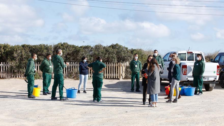 1,5 millones de euros de la ecotasa para limpiar 72 playas de las Pitiusas