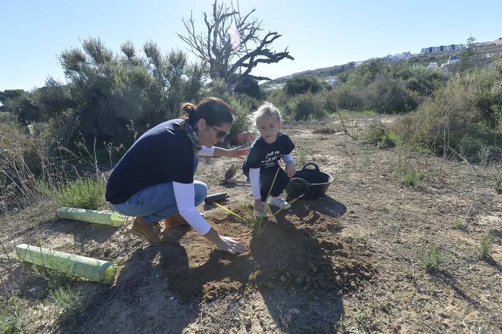 Reforestación en el Clot de Galvany, en imágenes