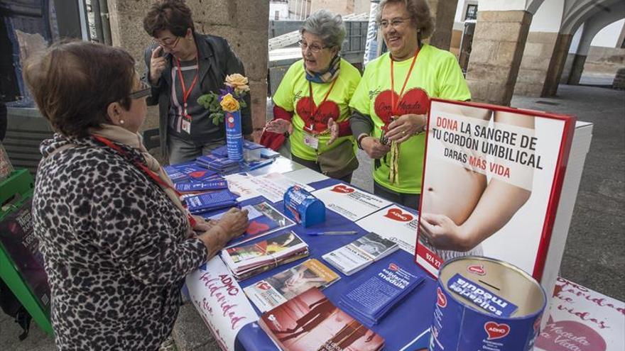 La asociación de médula ósea se da a conocer