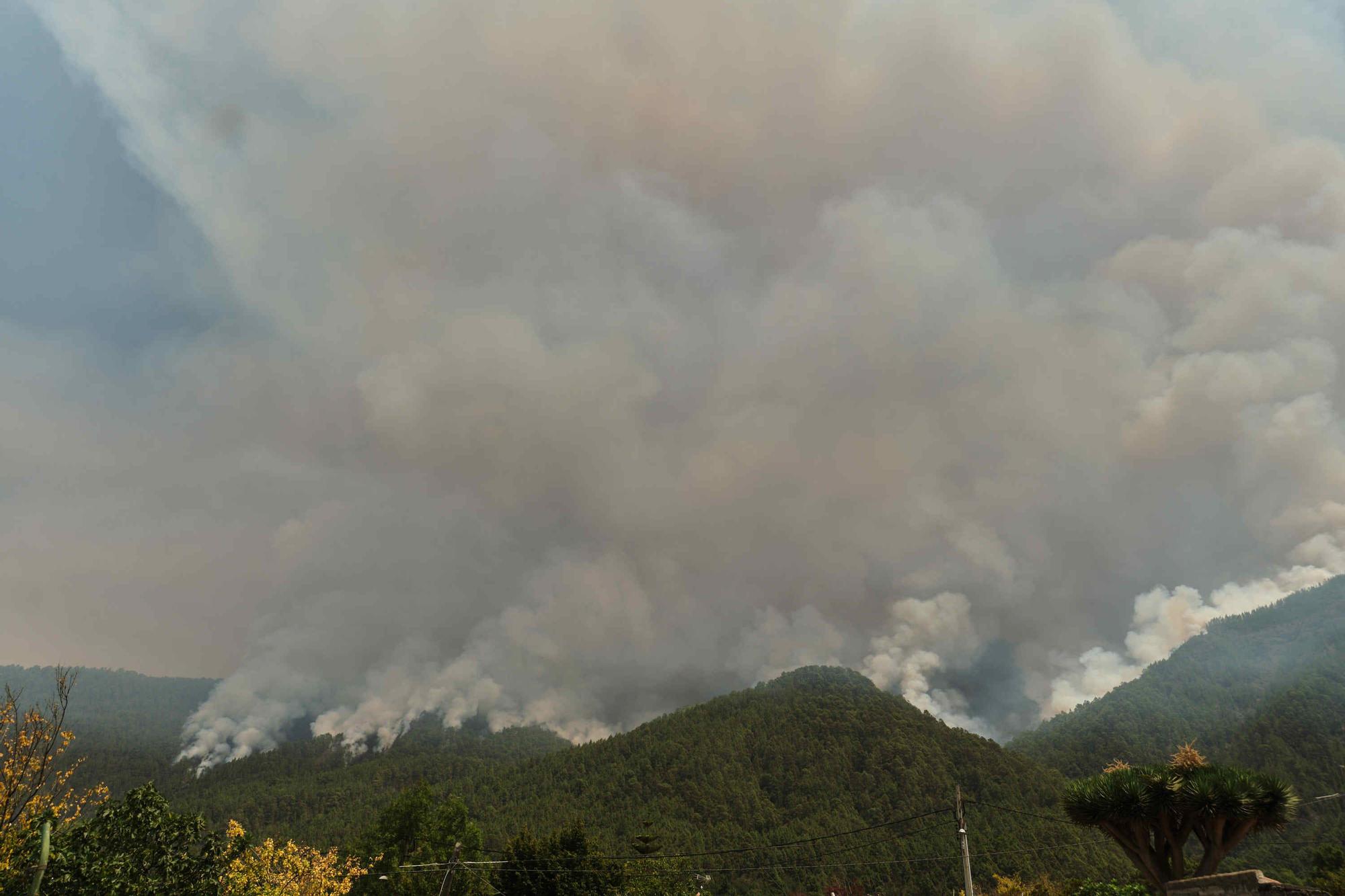 Incendio en Tenerife, este jueves