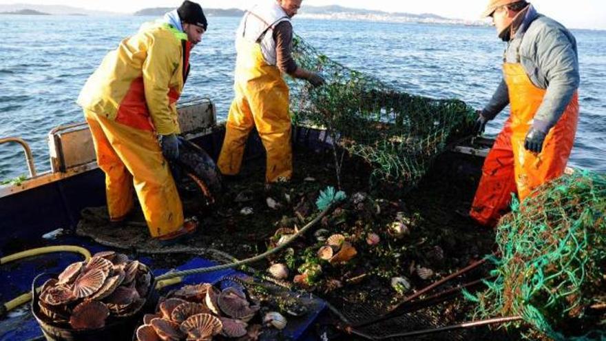 Tres marineros de Cambados recogen los aparejos con los que se captura la vieira. // Iñaki Abella