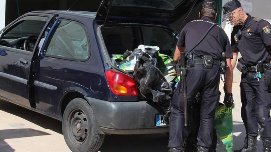 Requisan 3.500 plantas de ‘maría’ en un operativo antidroga en Almassora