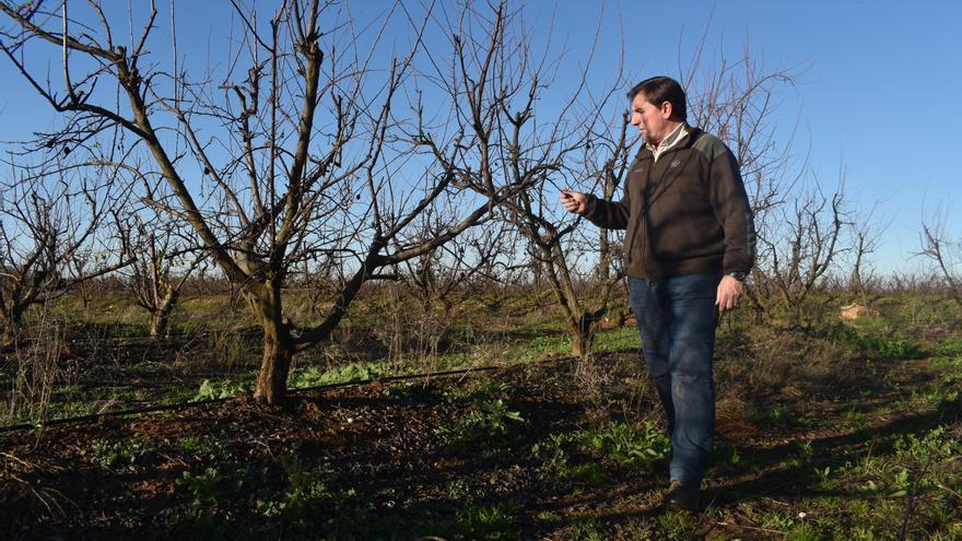 «Otro año igual sería la ruina»