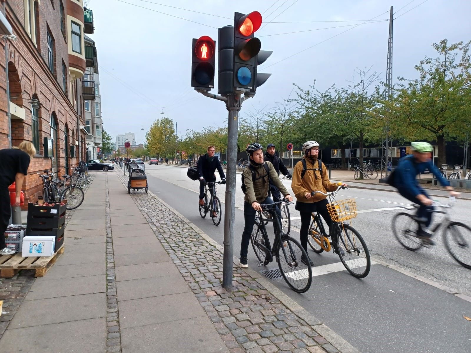 Así es Copenhague, la ciudad de las bicicletas en la que se fija Siero para su estrategia de movilidad