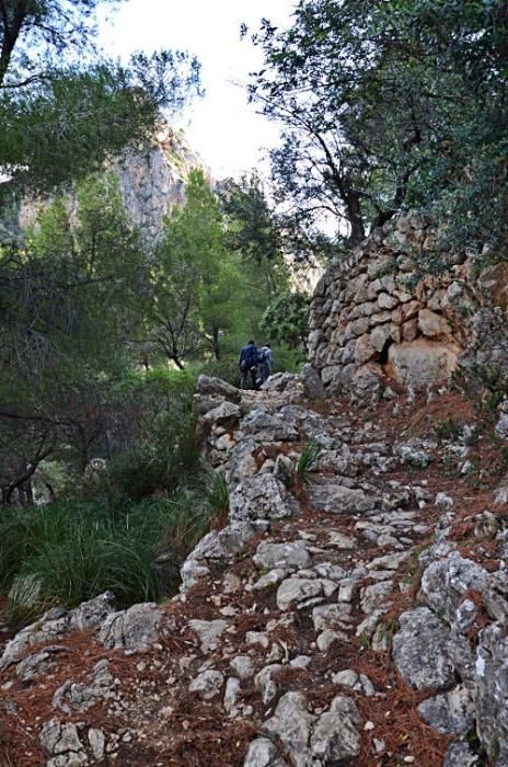 Versteckte Baracken, fast vergessene Geschichten und ganz viel Plackerei: Der Barranc de Biniaraix bei Sóller ist viel mehr als idyllische Wander-Kulisse