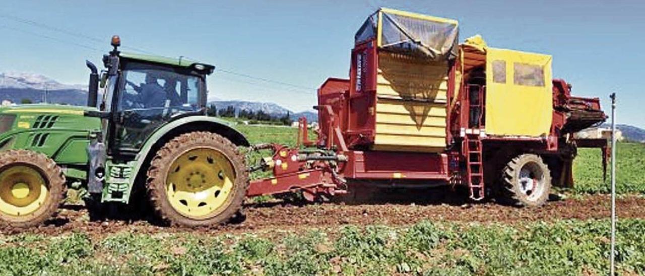 Un moderno modelo de la marca John Deere tirando de una cosechadora de patatas en un campo de la &#039;marjal&#039; poblera.