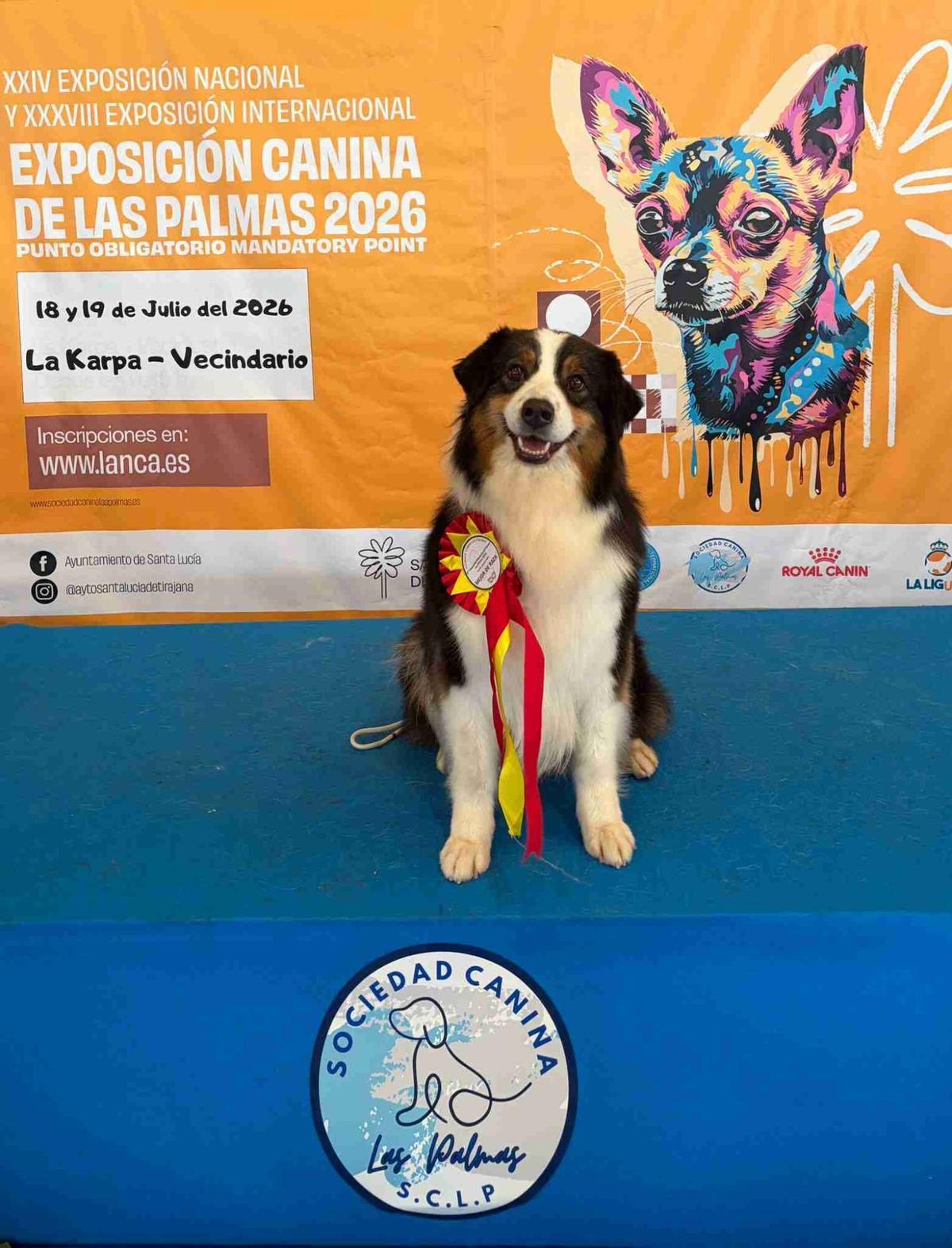 La perra, con su medalla.