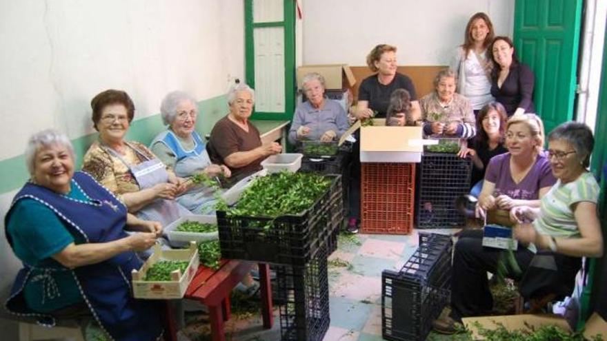 Unas mujeres trabajan en la preparación del material, ayer, en la calle Isidoro Queimaliños.  // Faro