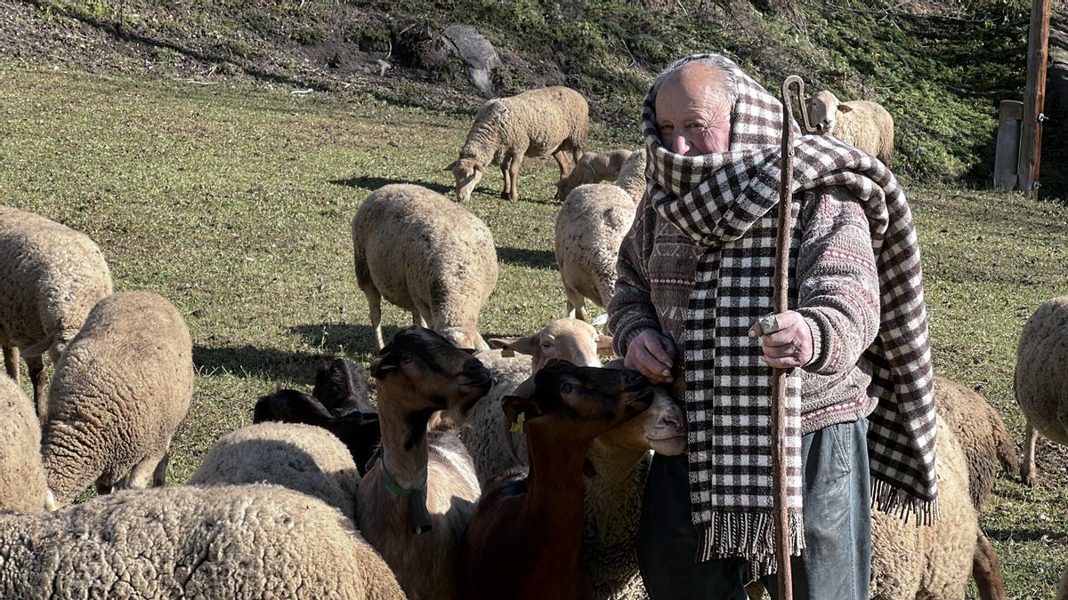 El pastor Martí Escudé amb un tapaboques confeccionat amb llana de les seves ovelles