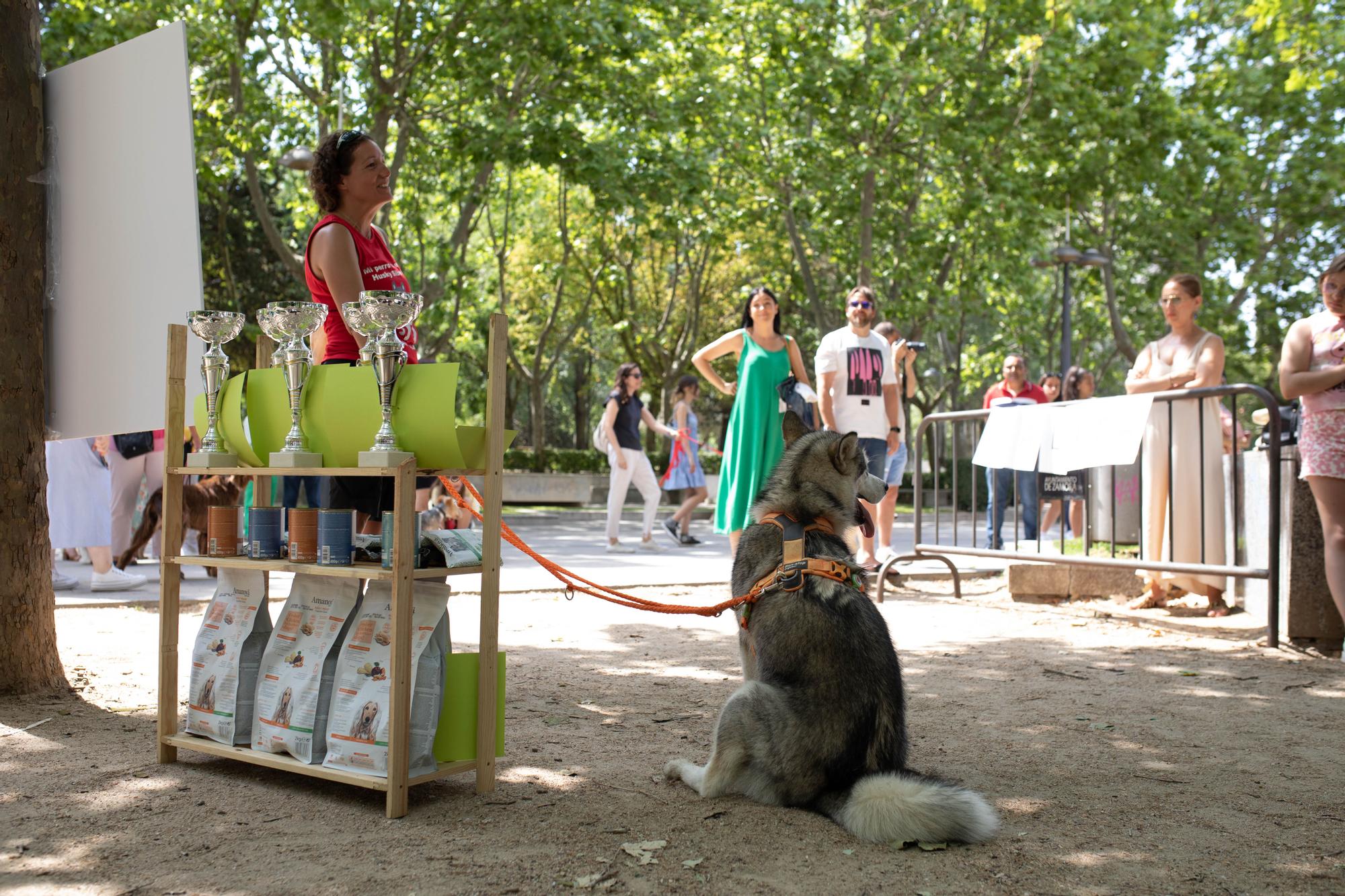 Concurso de mascotas Guaupísimos