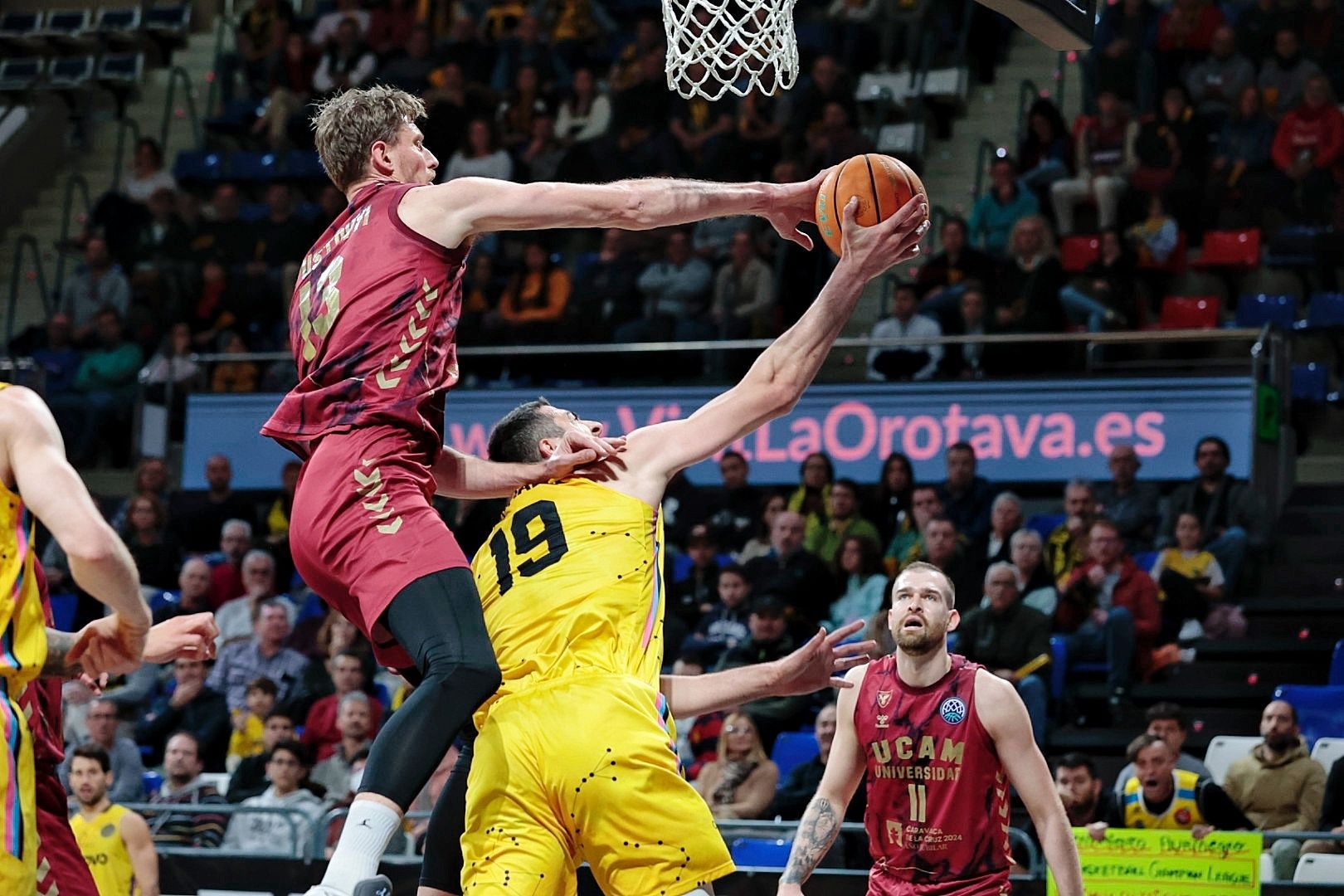 Basketball Champions League: Lenovo Tenerife - UCAM Murcia