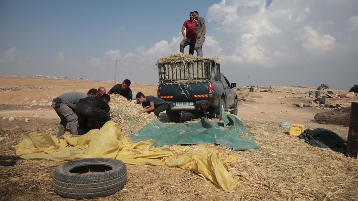 Centenares de palestinos están siendo expulsados de sus tierras en Cisjordania