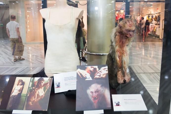 La exposición "Gran Cine - El Cine en Gran Canaria"