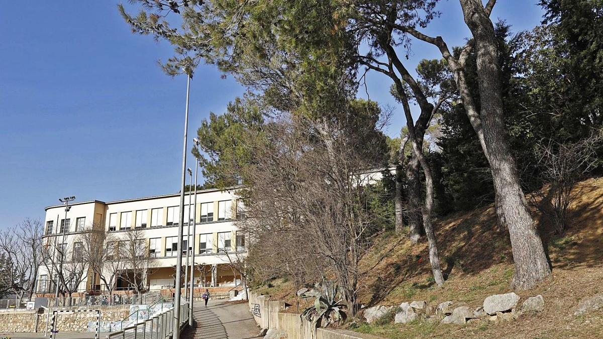 L&#039;entrada al centre escolar de Montjuïc, amb alguns dels pins que s&#039;hauran de talar.