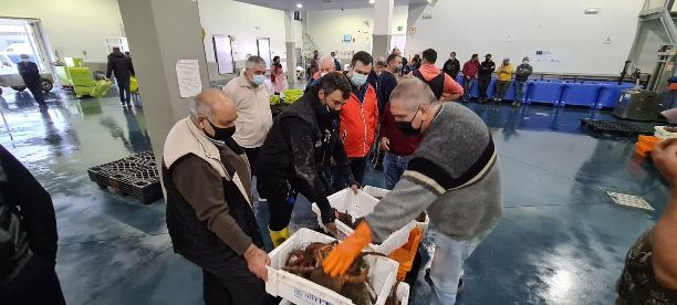 La lonja de O Grove es la más importante de Galicia para el centollo.