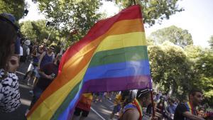 La marcha del Orgullo LGTBIQ + en Madrid.