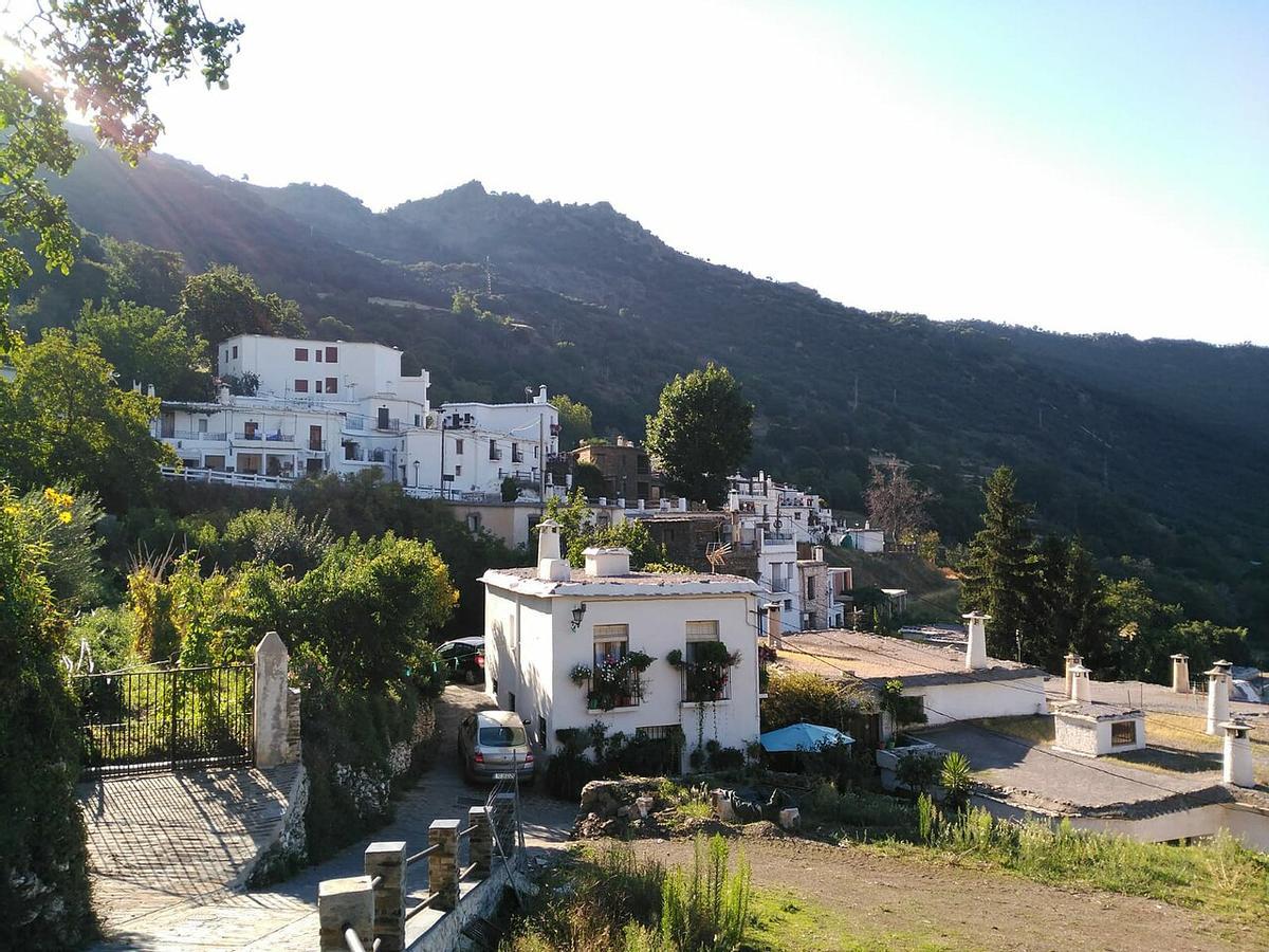 Bubión verde en primavera