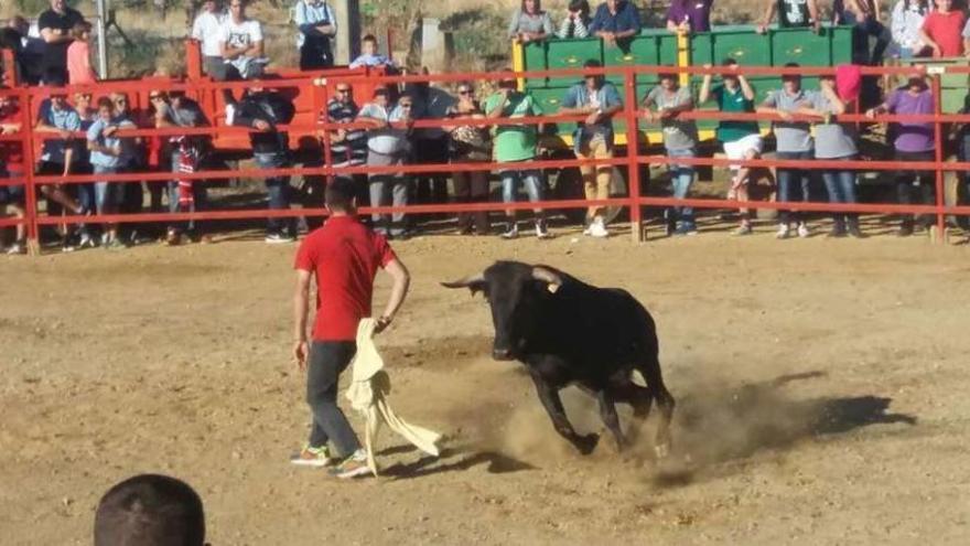 Uno de los festejos taurinos que han tenido lugar en estas fiestas.