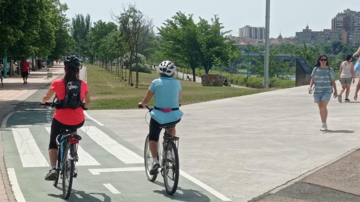 Carril bici a la altura de la pasarela del Voluntariado