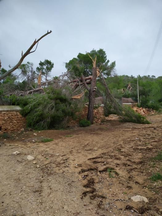 El temporal descarga sobre Ibiza y Formentera