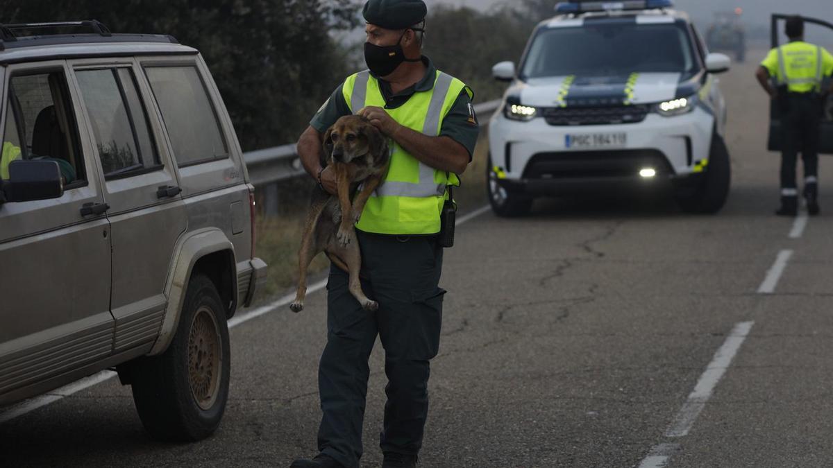 Imágenes del incendio originado en Lober de Aliste.