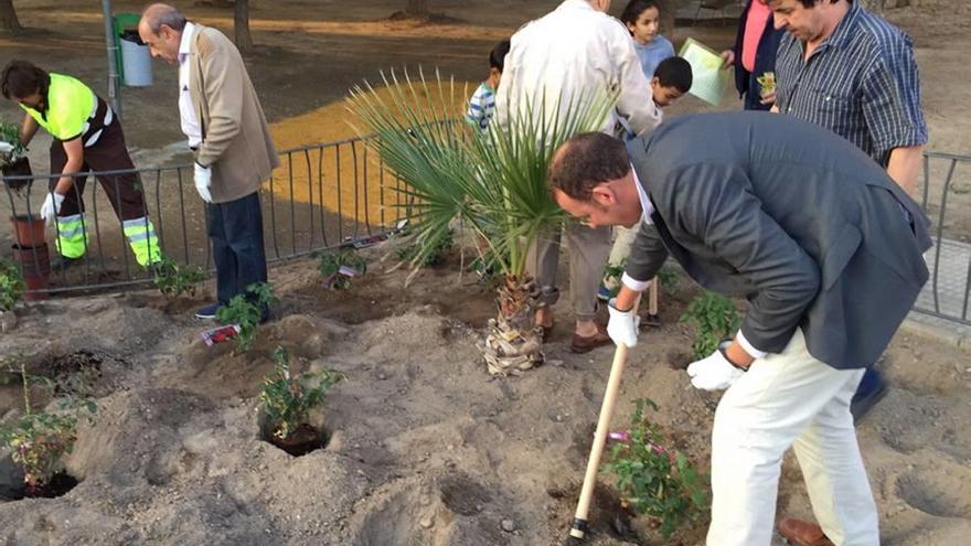 Nuevas flores en el barrio de San Andrés