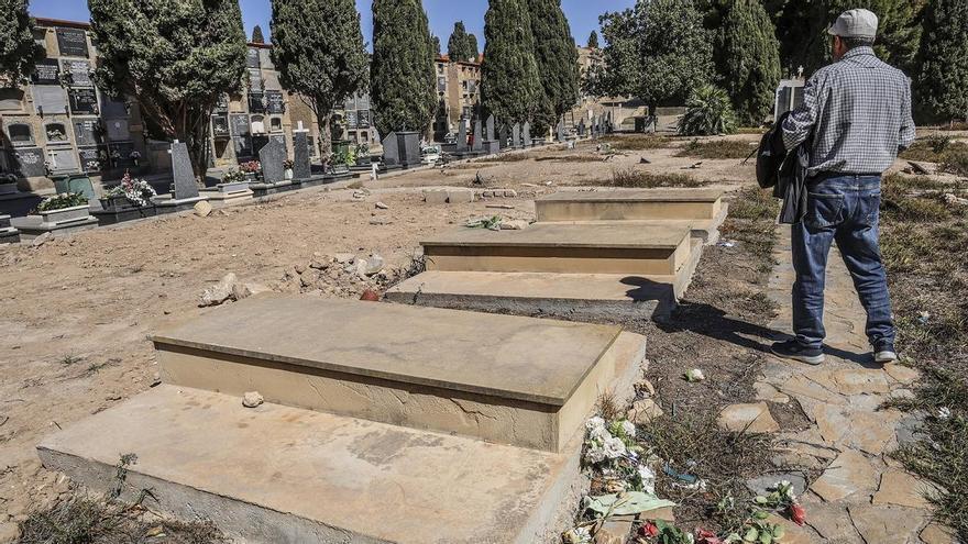 Una memoria que trae sin cuidado en el cementerio de Alicante