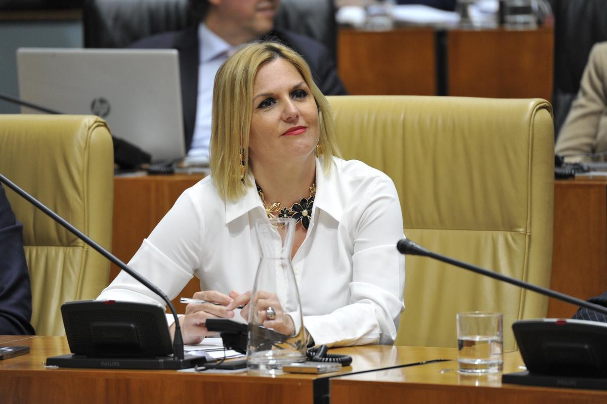 La consejera de Hacienda, Elena Manzano, ayer en el pleno de la Asamblea.