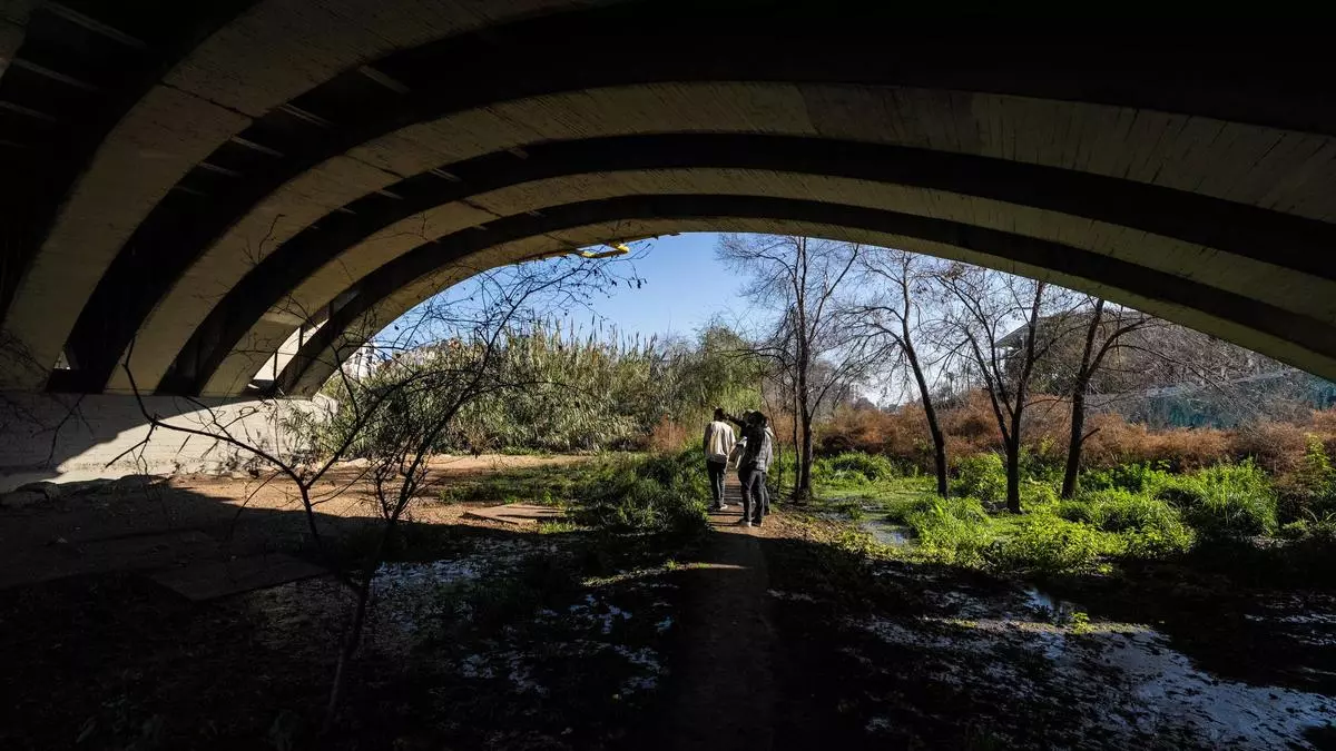 La cuenca del Besòs suma nuevos proyectos de restauración ambiental