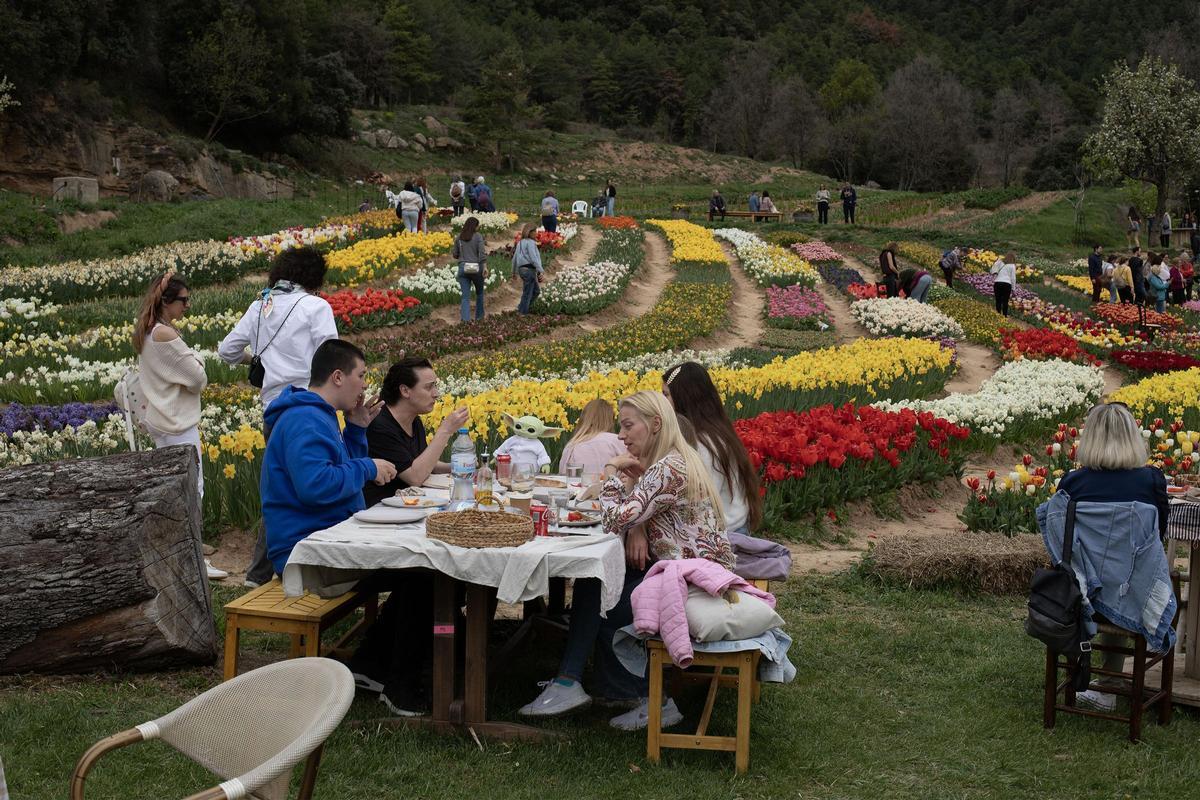 El jardín viral de Barcelona con más de 250.000 flores