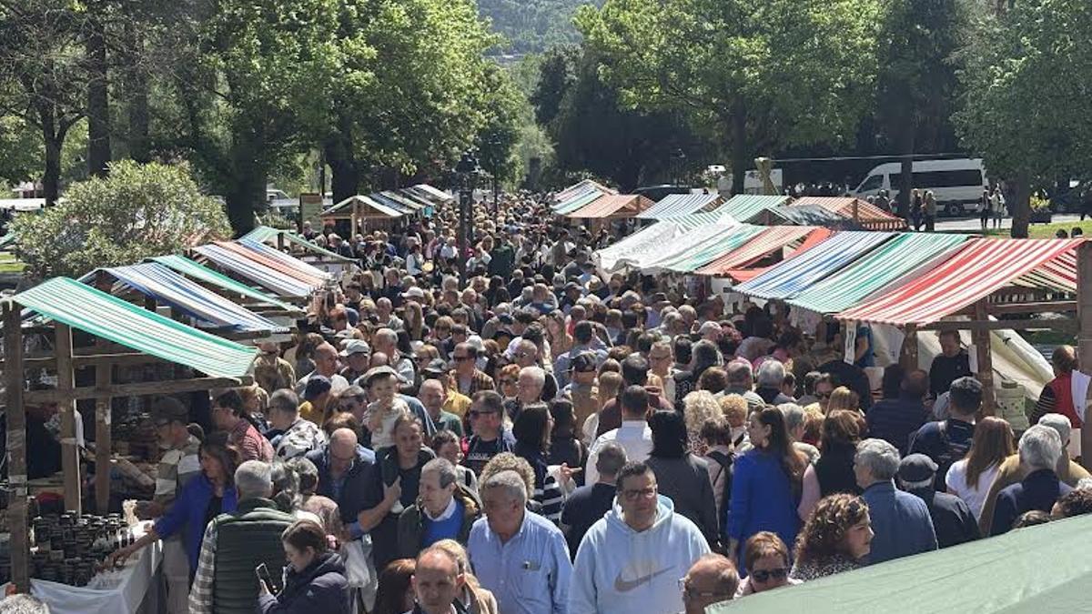 Vista del último Mercadón, a mediodía, repleto de público.