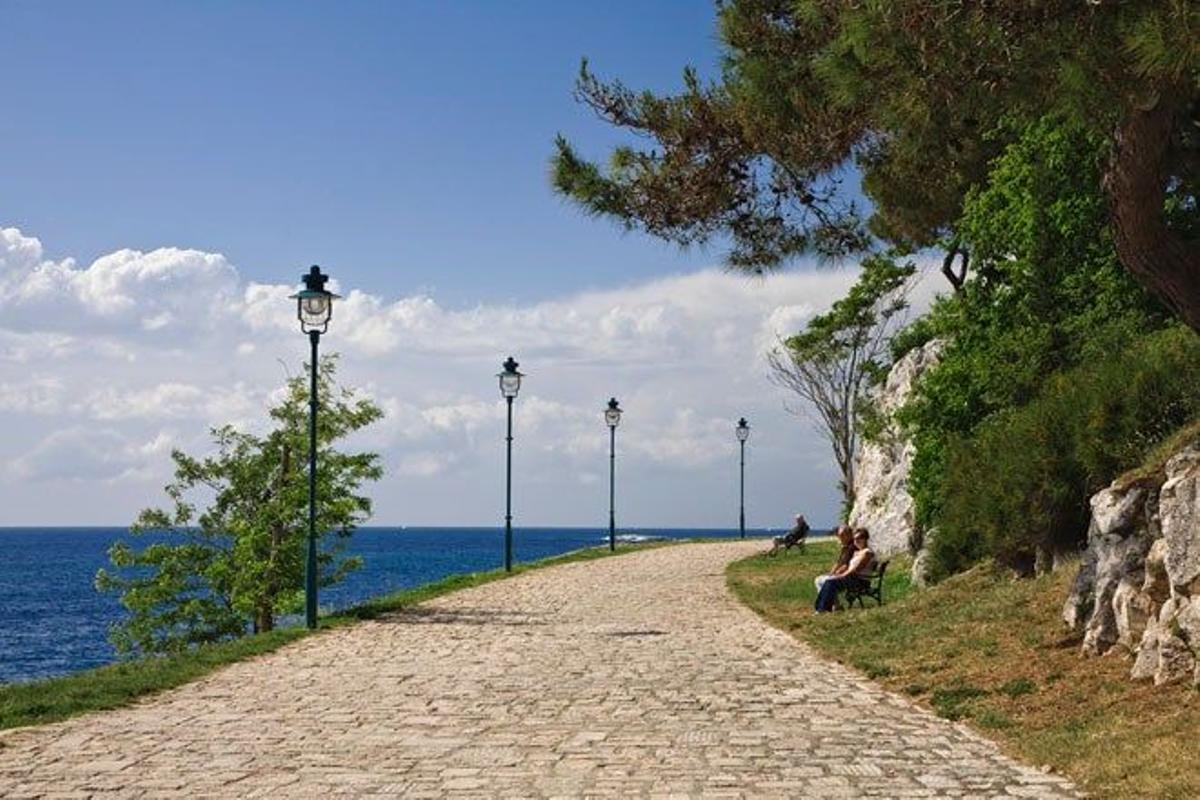 Camino de piedra en la cosa de Rovinj, en la península de Istria.