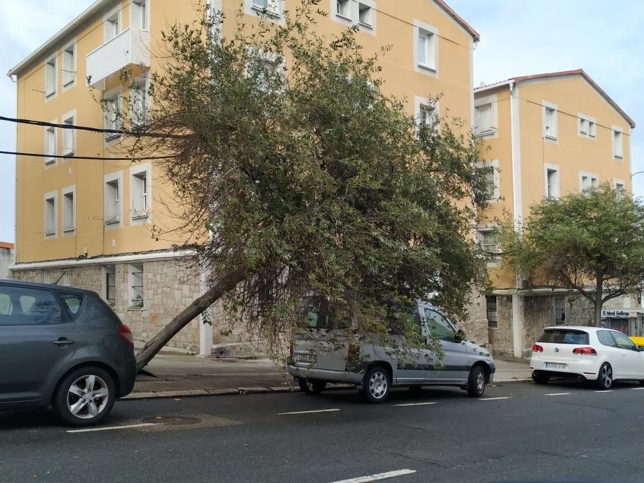 Árbol caído en el barrio de Labañou.