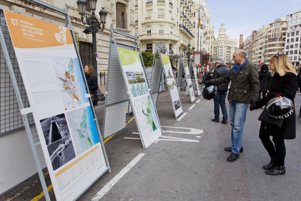 Mercado ecológico en la plaza del Ayuntamiento de Valencia