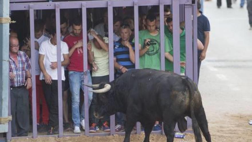 Las entidades taurinas esperan que las Cortes frenen hoy el segundo médico