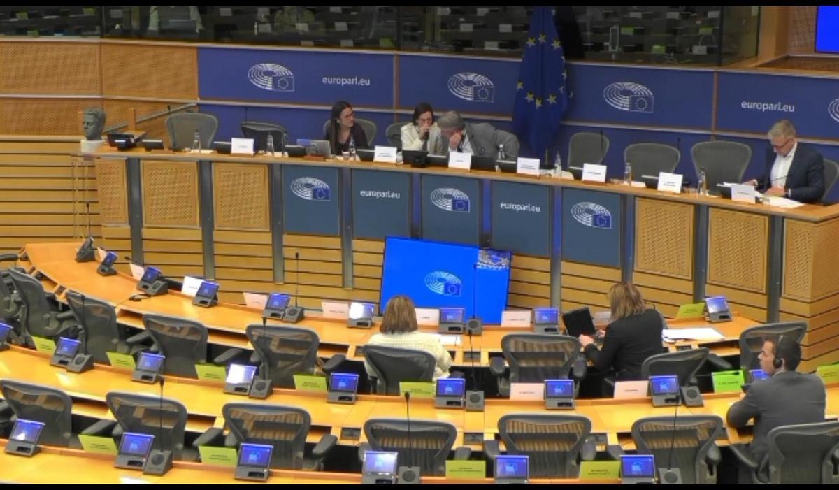 La comisión de peticiones ciudadanas de la UE durante la intervención de los vecinos de Aloy Salas.