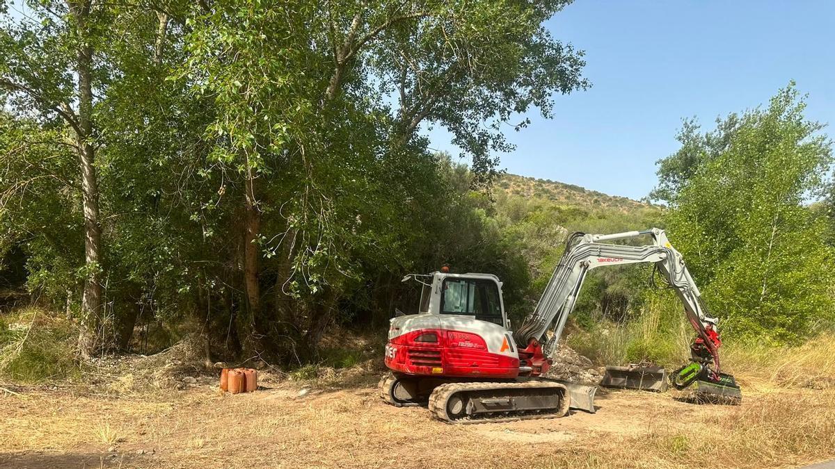 Una imagen de los trabajos de limpieza iniciados en el torrente.