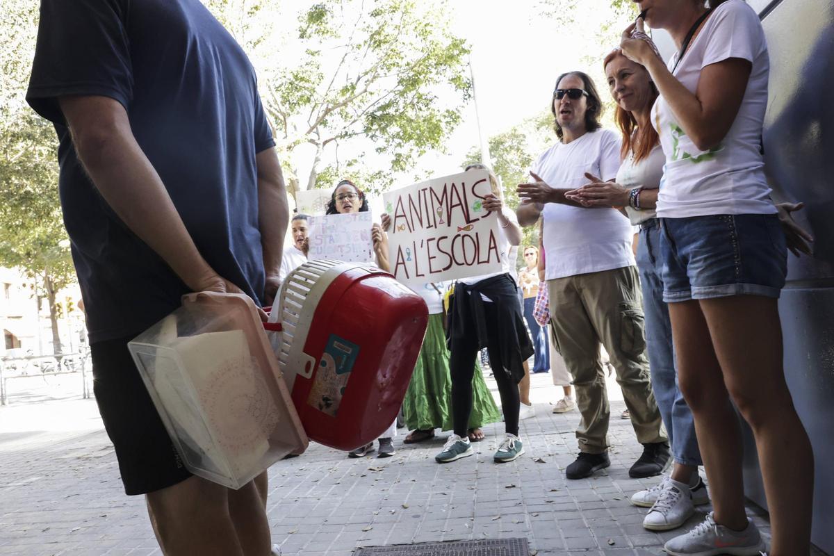 Revuelta en una escuela de Barcelona obligada a quedarse sin animales