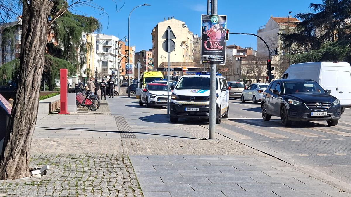 Avenida donde ha tenido lugar el atropello.