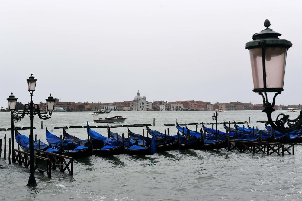 Venecia inundada por el ''acqua alta''