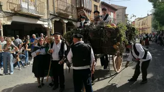 Cuenta atrás para la Fiesta de la Vendimia de Toro