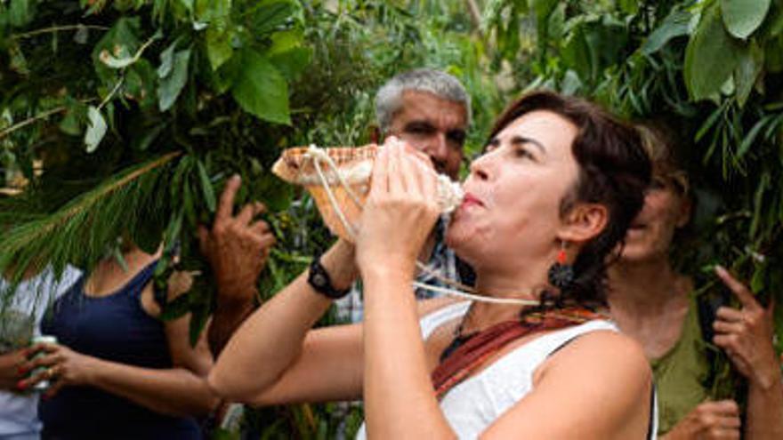 La &#039;Rama chica&#039; de San Pedro tiñe de verde el Valle de Agaete