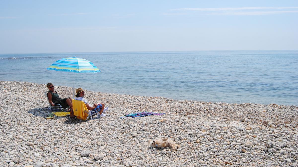 La playa Aiguaoliva fue la primera apta para perros de Castellón.