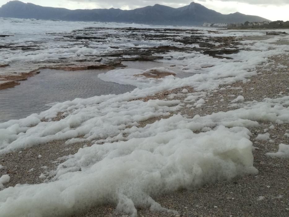 Eine dicke weiße Schaumschicht hat am Sonntag (3.12.) den Strand von Son Serra de Marina bedeckt.  Viele Anwohner und Besucher befürchteten zunächst eine Art Wasserverschmutzung. Von der MZ-Schwesterzeitung befragte Fachleute halten das Phänomen jedoch für eine natürliche Folge der Unwetter der vergangenen Tage.